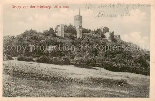 AK / Ansichtskarte  Nuerburg Die Nuerburg Nuerburg