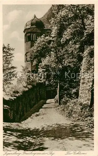 AK / Ansichtskarte  Freusburg_Kirchen_Sieg Jugendburg Der Eckturm 