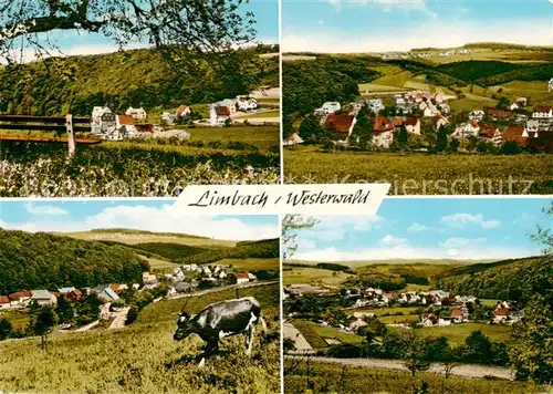 AK / Ansichtskarte  Limbach_Westerwald Teilansichten Panorama Limbach_Westerwald