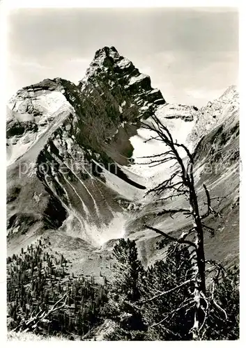 AK / Ansichtskarte Tinzenhorn_3172m_GR Panorama Bergwelt Albula Alpen 