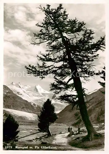 AK / Ansichtskarte Rosegtal Landschaftspanorama mit Piz Glueschaint Berninagruppe Alpen Rosegtal
