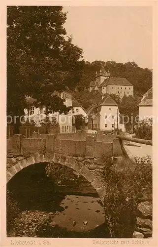 AK / Ansichtskarte  Liebstadt Teilansicht mit Schloss Liebstadt