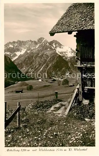 AK / Ansichtskarte  Mittelberg_Kleinwalsertal mit Widderstein Mittelberg_Kleinwalsertal