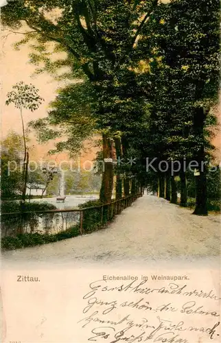 AK / Ansichtskarte 73801486 Zittau Eichenallee im Weinaupark Zittau