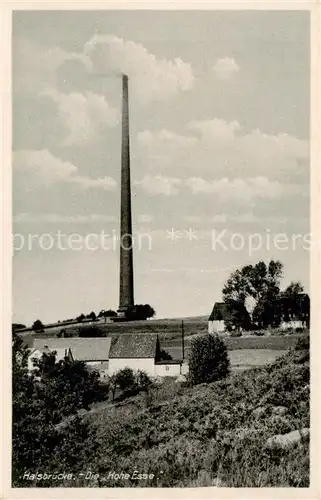 AK / Ansichtskarte  Halsbruecke Die Hohe Esse Halsbruecke