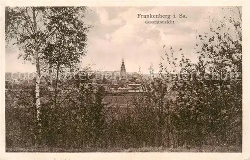 AK / Ansichtskarte  Frankenberg_Sachsen Panorama Frankenberg Sachsen