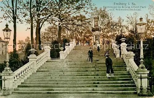 AK / Ansichtskarte 73801653 Freiberg__Sachsen Freitreppe im Koenig Albert Park und Schwedendenkmal 