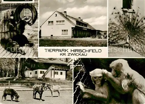 AK / Ansichtskarte  Hirschfeld_Zwickau Konsum Gaststaette Baerenschenke im Tierpark Hirschfeld Hirschfeld Zwickau