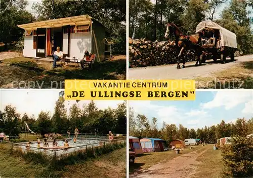 AK / Ansichtskarte 73801865 St_Anthonis_Sint_Anthonis_Boxmeer_NL Vakantiecentrum De Ulligse Beergen Pferdebus Pool Camping 