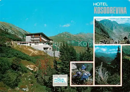 AK / Ansichtskarte 73801872 Nizke_Tatry_Slovakia Hotel Kosodrevina Dumbier Zvoncek alpsky Lomnista dolina 