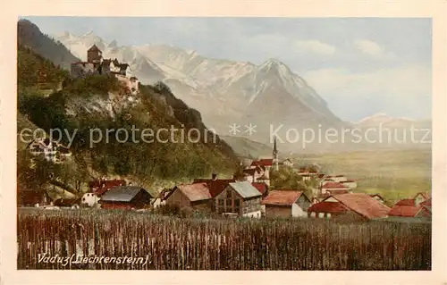 AK / Ansichtskarte  Vaduz_Liechtenstein_FL Panorama 