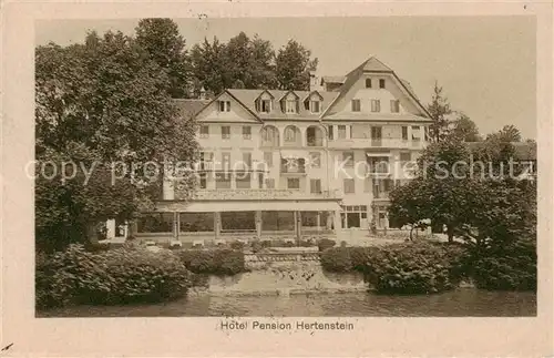 AK / Ansichtskarte Hertenstein__LU Hotel Pension Hertenstein 