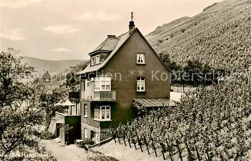 AK / Ansichtskarte  Bacharach_Rhein Pension Hermersdorf Weinberge Bacharach Rhein