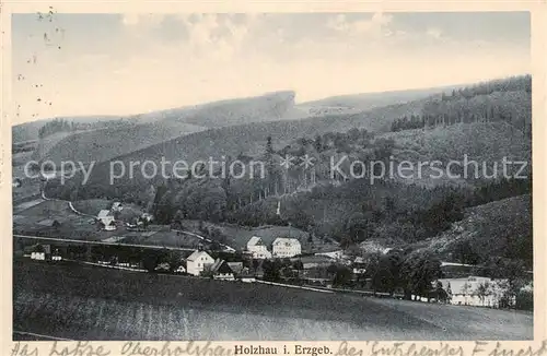 AK / Ansichtskarte  Holzhau_Rechenberg-Bienenmuehle_Erzgebirge Panorama Sommerfrische 