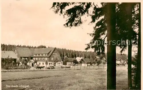 AK / Ansichtskarte  Steinbach__Johanngeorgenstadt Fremdenhof Waldesruhe 