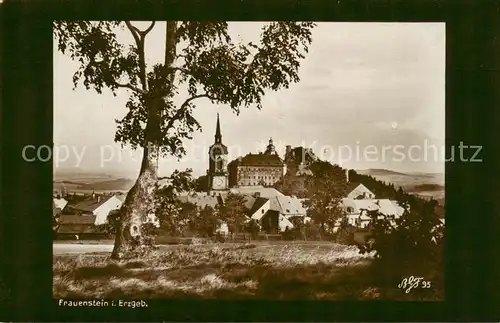 AK / Ansichtskarte  Frauenstein_Brand-Erbisdorf_Osterzgebirge Panorama Ansicht mit Kirche und Schloss 