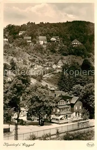 AK / Ansichtskarte  Kipsdorf_Altenberg Teilansicht 