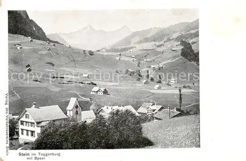 AK / Ansichtskarte Stein_Toggenburg_SG Panorama mit Speer 