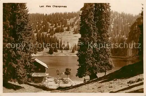 AK / Ansichtskarte Lac_des_Chavonnes_VD Panorama 