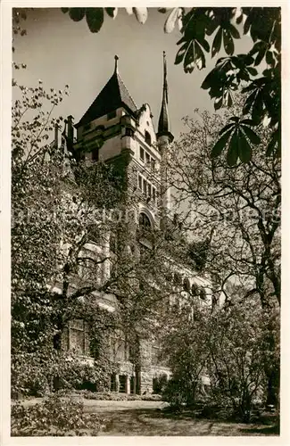 AK / Ansichtskarte Vitznau_Witznau_Vierwaldstaettersee_LU Park Hotel 