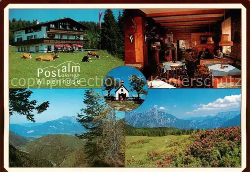 AK / Ansichtskarte 73802845 Abtenau Postalm Gasthof Alpenrose Gastraum Panorama Abtenau