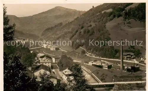 AK / Ansichtskarte  Alexisbad_Harz Panorama Alexisbad_Harz