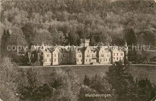 AK / Ansichtskarte  Waldleiningen_Pfalz Schloss Waldleiningen_Pfalz