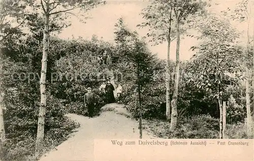 AK / Ansichtskarte  Cranenburg_Kranenburg__Niederrhein Weg zum Duivelsberg 