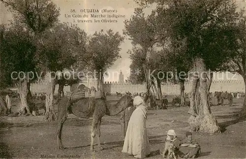 AK / Ansichtskarte  Oudja_Oujda_Maroc Un Coin du Marche indigene a traveers les Oliviers 