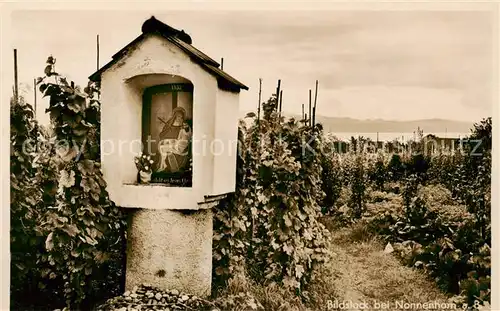 AK / Ansichtskarte  Nonnenhorn_Bodensee Bildstock Nonnenhorn Bodensee