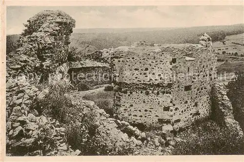 AK / Ansichtskarte  Burg_Greifenstein_Westerwald Ruine Panorama Burg_Greifenstein