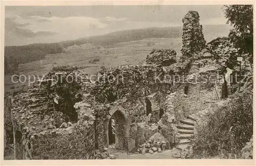 AK / Ansichtskarte  Burg_Greifenstein_Westerwald Ruine Panorama Burg_Greifenstein