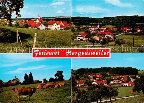 AK / Ansichtskarte  Hergensweiler Feriendorf Panorama Hergensweiler