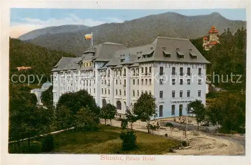 AK / Ansichtskarte  Sinaia_RO Palace Hotel 