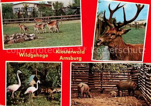 AK / Ansichtskarte  Arnsburg_Hessen Gasthaus Pension Zum Klosterwald Wildgehege Details Arnsburg Hessen