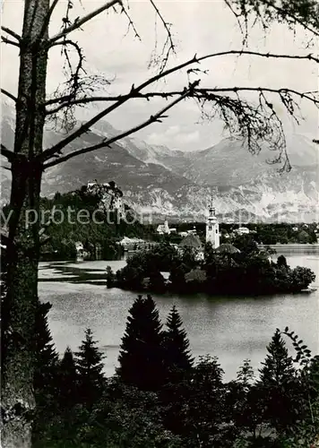 AK / Ansichtskarte  Bled Panorama Bled