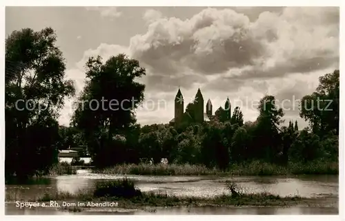 AK / Ansichtskarte  Speyer_Rhein Dom Speyer Rhein