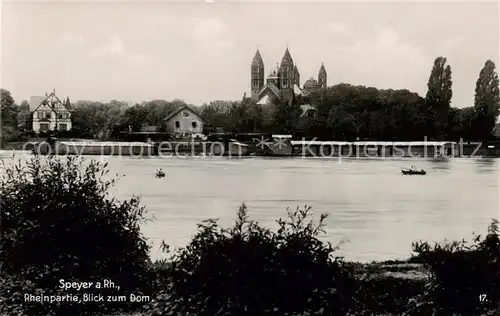 AK / Ansichtskarte  Speyer_Rhein Rheinpartie Blick zum Dom Speyer Rhein