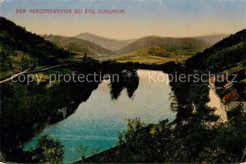 AK / Ansichtskarte  Bad_Duerkheim Der Herzogsweiher Panorama Bad_Duerkheim