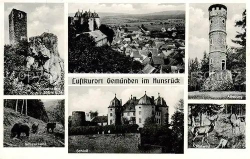 AK / Ansichtskarte 73803923 Gemuenden_Hunsrueck Koppenstein Schwarzwald Panorama Schloss Alteburg Rotwild Gemuenden Hunsrueck