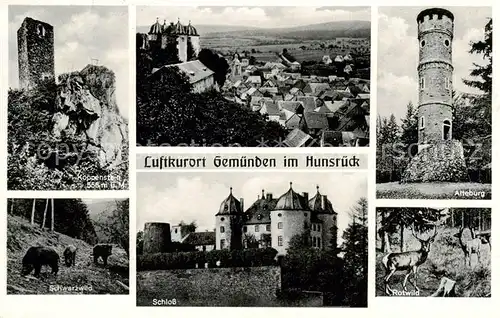 AK / Ansichtskarte  Gemuenden_Hunsrueck Koppenstein Schwarzwald Panorama Schloss Alteburg Rotwild Gemuenden Hunsrueck