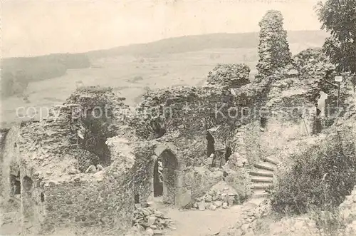 AK / Ansichtskarte  Burg_Greifenstein_Westerwald Ruine Burg_Greifenstein