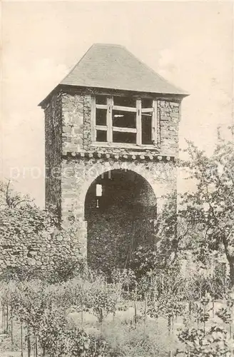 AK / Ansichtskarte  Burg_Greifenstein_Westerwald Der Ausfall am Pfarrgarten Burg_Greifenstein