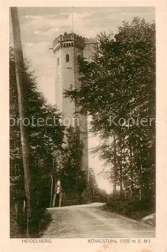 AK / Ansichtskarte  Heidelberg_Neckar Koenigstuhl Heidelberg Neckar