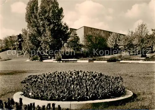 AK / Ansichtskarte  Stuttgart BUGA 1961 Tulpenbluete bei den grossen Ausstellungshallen Stuttgart