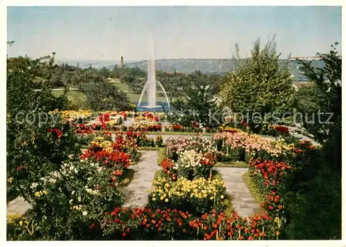 AK / Ansichtskarte  Stuttgart Hoehenpark Killesberg Stuttgarter Gartenschau Blumenmeer bei der Hauptgaststaette Stuttgart