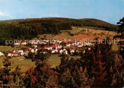 AK / Ansichtskarte  Grasellenbach Panorama Grasellenbach