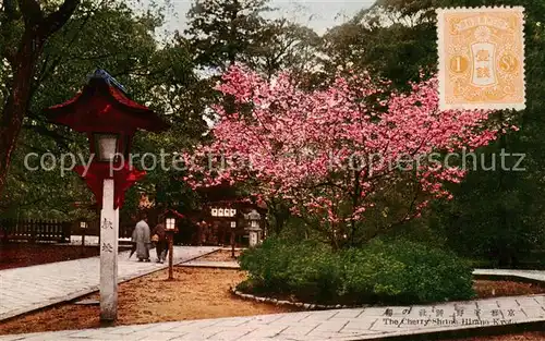 AK / Ansichtskarte  Kyoto_Japan The Cherry Shrine Hirano 