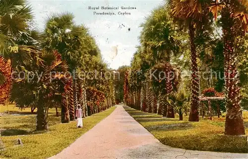 AK / Ansichtskarte 73804782 Ceylon__Sri_Lanka Royal Botanical Gardens 