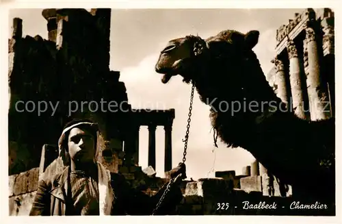 AK / Ansichtskarte  Baalbeck_Baalbek_Lebanon Chamelier 